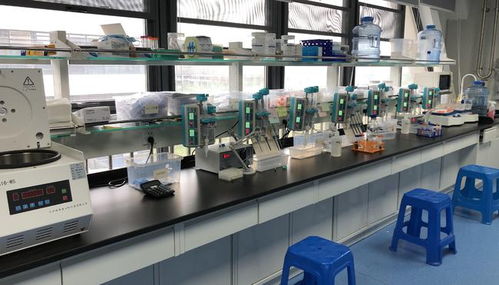 早篩創新與科技融合，天浚元生生物獲國高生物戰投，領跑教育科技軟件研發新賽道